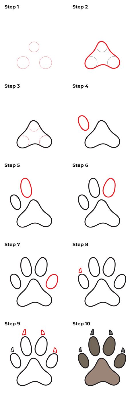 How to Draw a Cat Paw Print