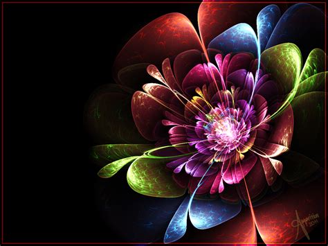 🔥 [73+] Rainbow Flower Wallpapers | WallpaperSafari