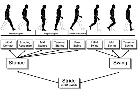 Gait and balance dysfunction in older adults: Challenges and interventions | Braceworks Custom ...