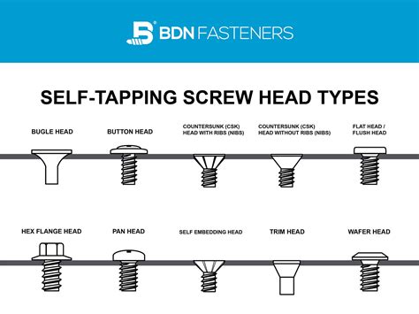 10 Screw Head Types: Different Self-Tapping Screw Head Types