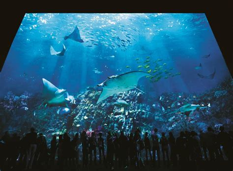 The Grand Aquarium at Hong Kong's Ocean Park Blooloop