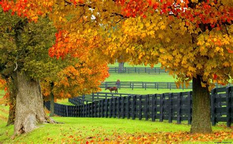 Autumn Farm Wallpapers - Top Free Autumn Farm Backgrounds - WallpaperAccess