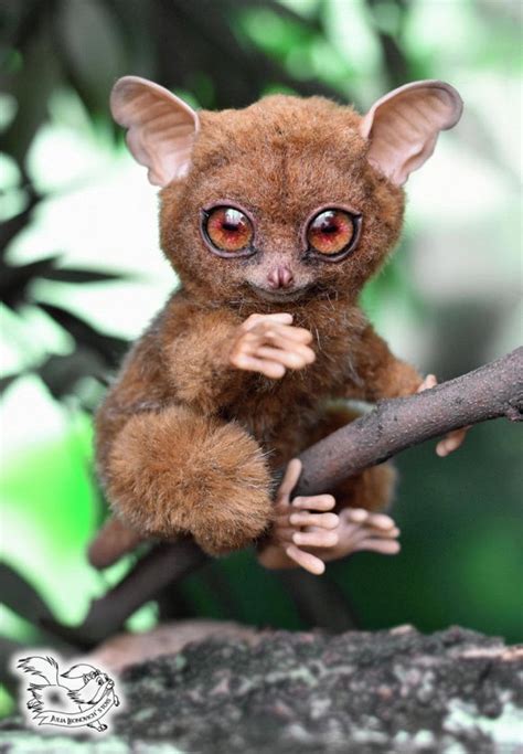 Tarsier by Yulia Leonovich | Tedsby