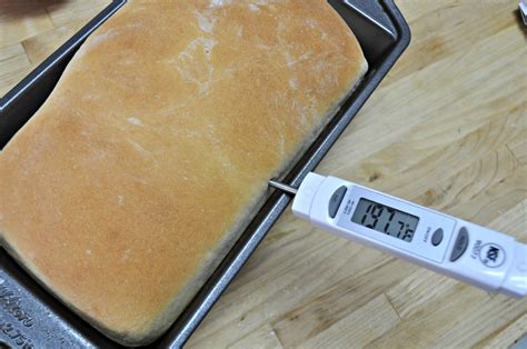 How to Make Bread in a Bosch Mixer – Suz Daily