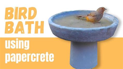 DIY Bird Bath Using Papercrete, Lightweight Concrete Mixture, DIY Cement Bird Bath | Papercrete ...