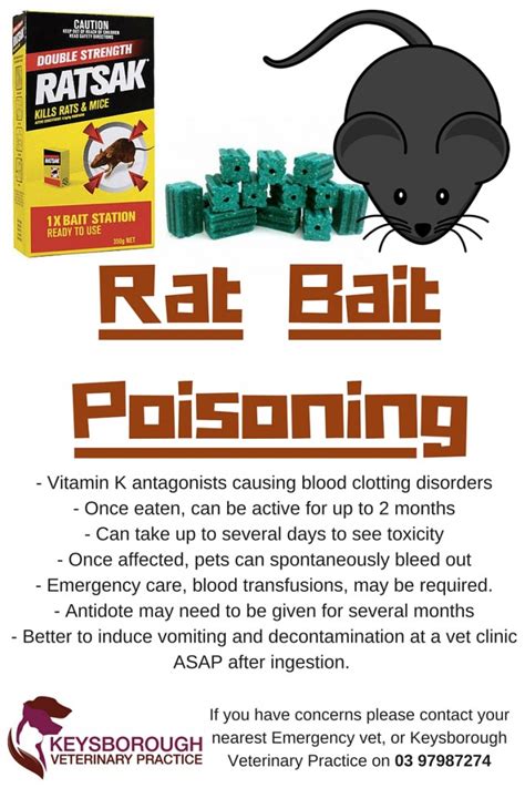 How Long For Rat Poison To Affect A Dog