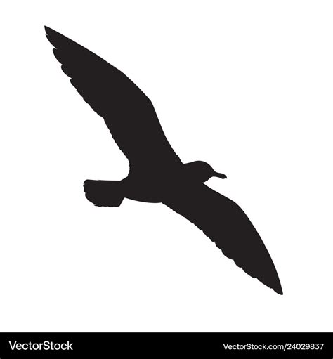 Flying seagull silhouette in Royalty Free Vector Image