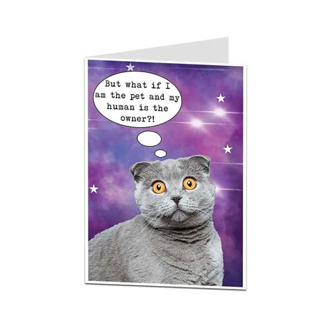 Funny Birthday Card. Cat Card. Birthday Card From Cat. Card - Etsy