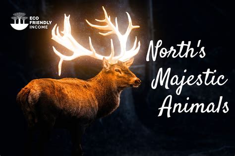 Boreal Forest Mammals: Meet North's Majestic Animals