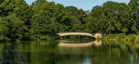 Bow Bridge | Central Park Conservancy