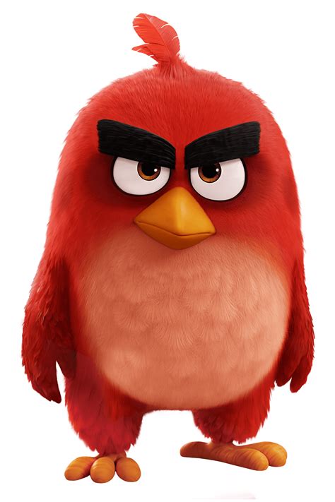 Angry Birds Movie Red Bird transparent PNG - StickPNG | Red angry bird ...