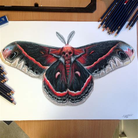 Moth Color Pencil Drawing by AtomiccircuS on DeviantArt