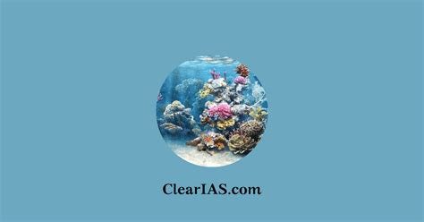 Aquatic Biomes: Marine and Freshwater Biomes - ClearIAS