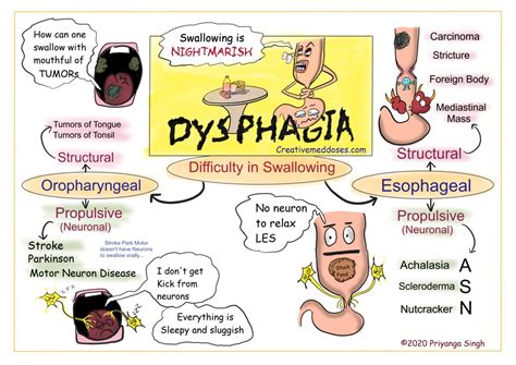 Dysphagia: Difficult Swallowing - Creative Med Doses