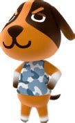 Butch - Animal Crossing Wiki - Nookipedia