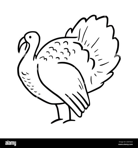 Hand drawn turkey bird. Doodle sketch style. Drawing line simple turkey ...