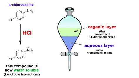 solid liquid extraction lab report - Colin Dowd