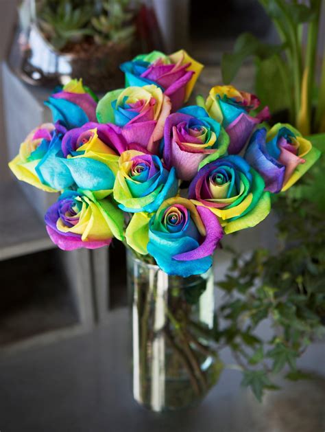 Bouquet of Fresh Cut Rainbow Roses: 12 Rainbow-Swirl Roses with Vase ...