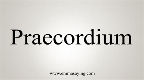 How To Say Praecordium - YouTube