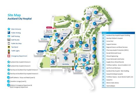 Auckland Hospital Map