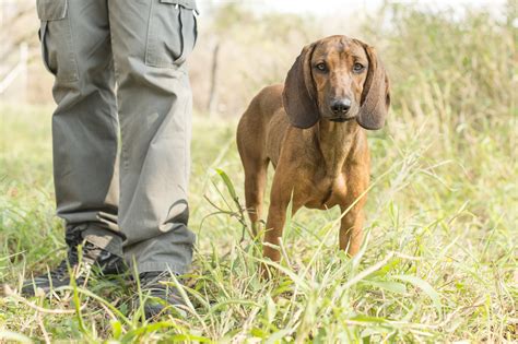 Wildlife Conservation in South Africa | Singita