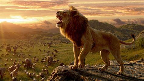 The Lion King Ultra HD Wallpapers - Wallpaper Cave