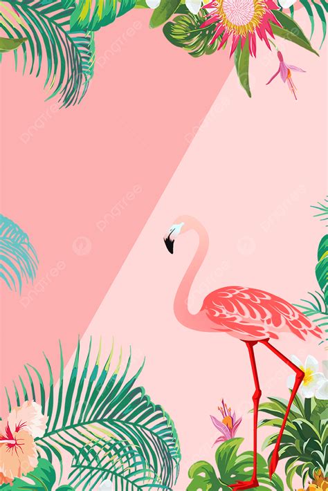 Flamingo Background Images, HD Pictures And Wallpaper For, 46% OFF