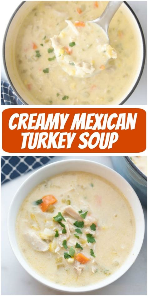 Creamy Mexican Turkey Soup - Recipe Girl