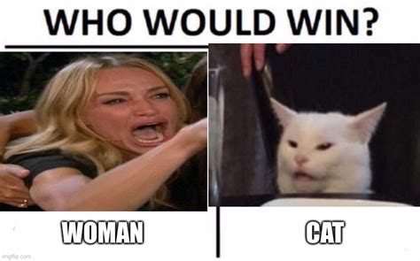 Cat And Woman Meme Template