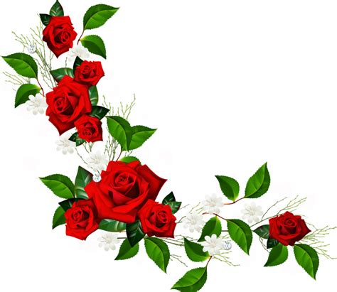 Free Rose Vine Cliparts, Download Free Rose Vine Cliparts png images ...