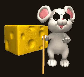 Blind Mouse Cheese GIF | GIFDB.com