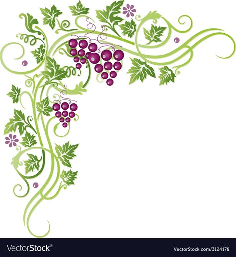 Grape vines Royalty Free Vector Image - VectorStock