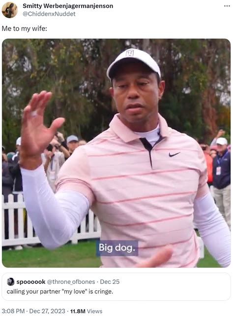 Me to my wife: | Tiger Woods "Big Dog" | Know Your Meme