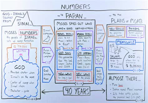 The Book of Numbers: The Beginner's Guide and Summary