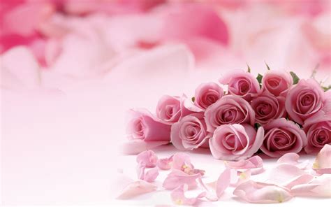 Roses Powerpoint Background