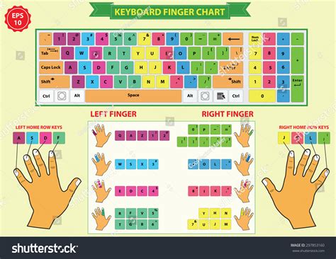 Typing Keyboard Finger Chart