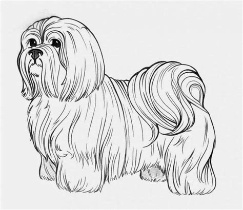 Coloring Pages Printable Free Dogs