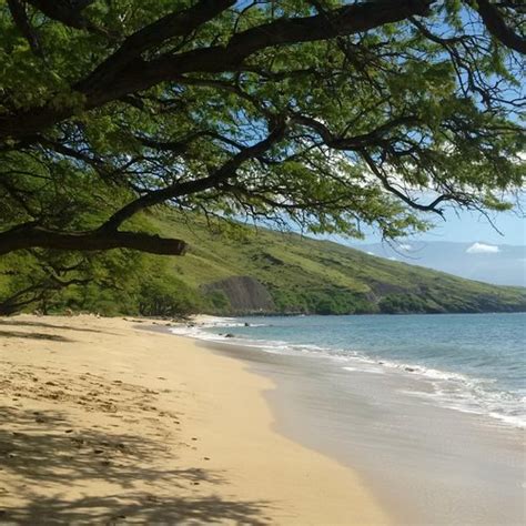 THE 15 BEST Things to Do in Lahaina (Updated 2024)