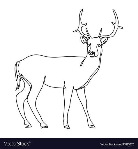 Forest deer line art black outline Royalty Free Vector Image