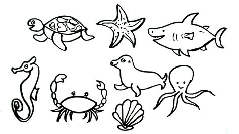 Sea Animals Drawing Easy Easy Step By Step Drawing Of Sea Animals For | Images and Photos finder