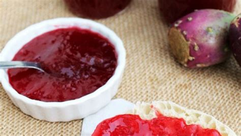 Prickly Pear Recipes to Try