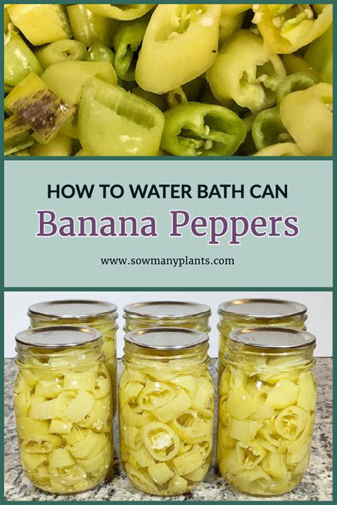 Easy Step-by-Step Guide to Tasty Pickled Banana Peppers