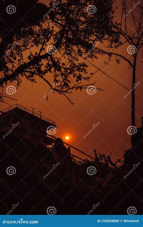 Silhouette of a Building and a Tree Branch during Sunset Stock Photo - Image of trees, leaves ...