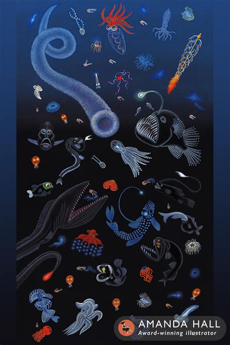 Sea Life Illustration of Deep Sea, Bioluminescent Animals. Art by Amanda Hall in 2023 | Deep sea ...