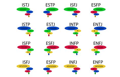 Mbti Body Types