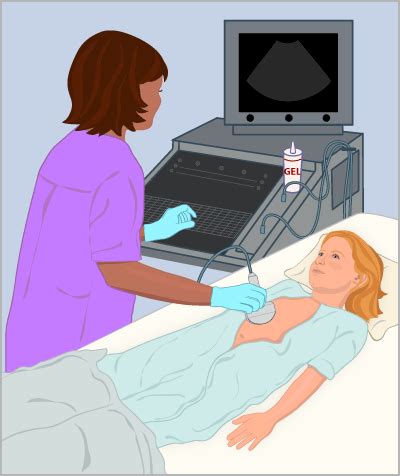 Ultrasound: Renal (Kidneys, Ureters, Bladder) | Rady Children's Hospital