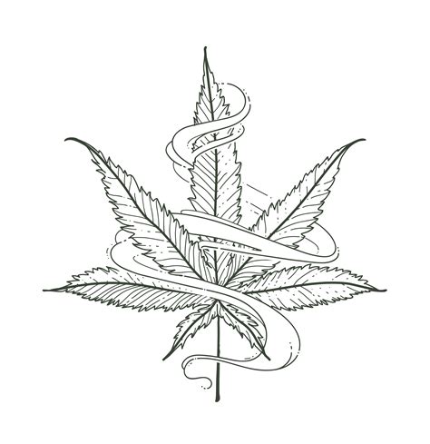 Vector Marijuana Leaf 338667 Vector Art at Vecteezy