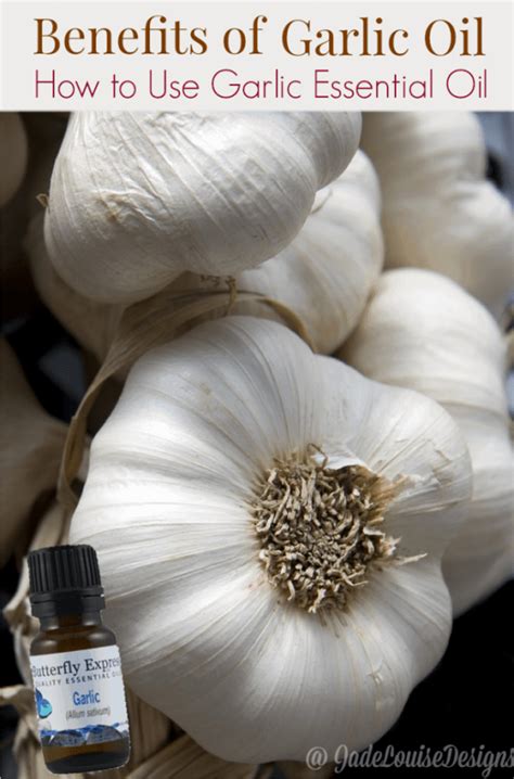 The numerous Benefits of Garlic Oil and how to use Garlic Essential Oil