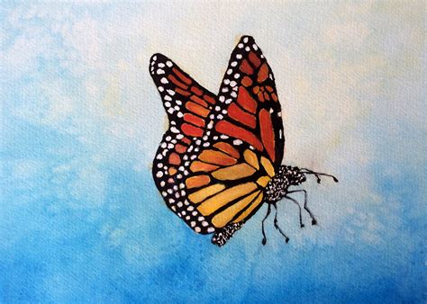 Realistic Butterfly Painting at PaintingValley.com | Explore collection of Realistic Butterfly ...