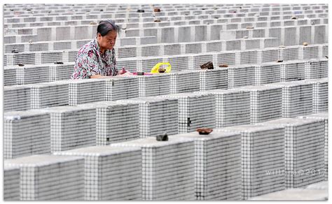 Tomb Sweeping: A Fading Tradition? | Sinosplice